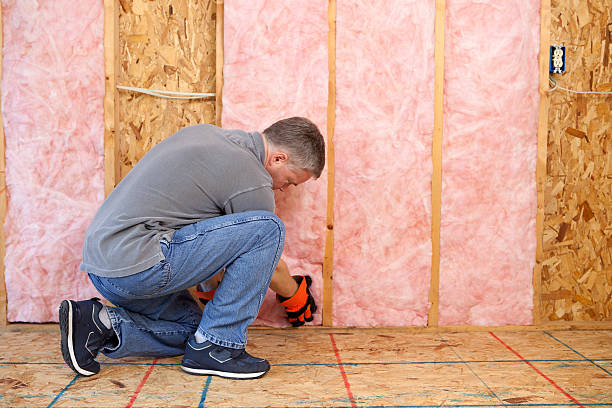 Best Insulation Maintenance and Repair in Sunflower, MS